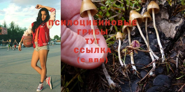 герыч Белокуриха