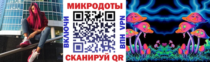 Галлюциногенные грибы Psilocybine cubensis  Купить где  Нижнеудинск 